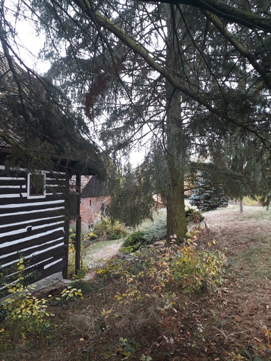 20181103_135817.jpg