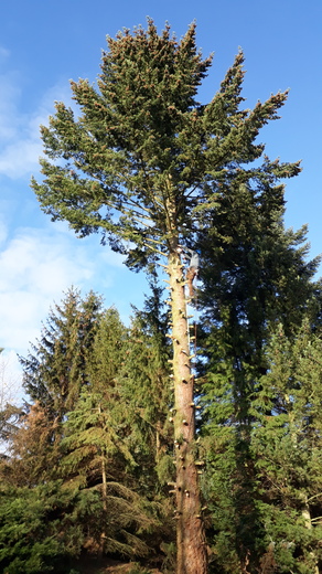 20181115_134248.jpg