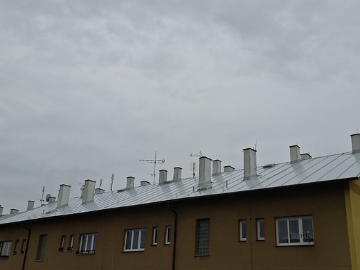 20260515_081423.jpg