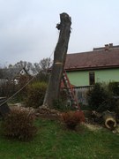 03-kaceni-stromu-dute-lipy-002.jpg