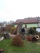 03-kaceni-stromu-dute-lipy-004.jpg