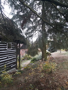 20181103_135817.jpg