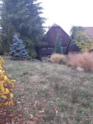 20181103_140318.jpg