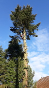 20181115_140001.jpg