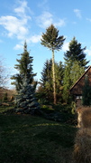 20181115_142404.jpg