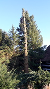 20181116_090613.jpg