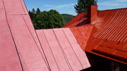 20190617_145513.jpg