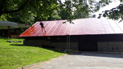 20190622_093322.jpg