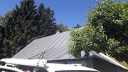 20190724_102957.jpg