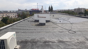 20190805_140202.jpg