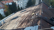20201026_113821.jpg