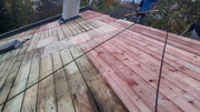 20201026_150031.jpg