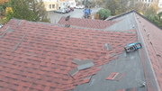 20201103_093925.jpg