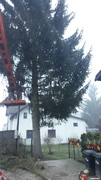 20201127_084828.jpg