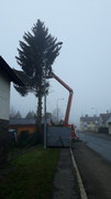 20201127_092738.jpg