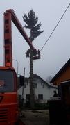 20201127_102837.jpg