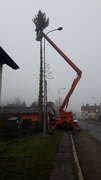 20201127_105240.jpg