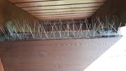 20210430_105224.jpg