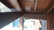 20210430_143138.jpg