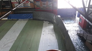 20210617_121803.jpg
