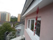 22-renovacni-nater-alkyd-akrylatovou-barvou-praha-007.jpg