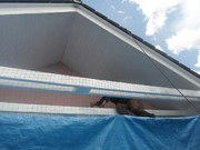Renovační nátěr alkyd akrylátovou barvou