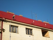25-ocisteni-strech-a-dvojity-nater-nove-mesto-003.jpg