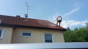 očištění taškové střechy Bramac